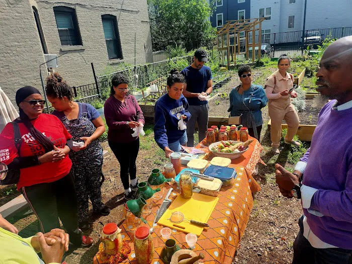 Lincoln Park Community Garden Picture 7