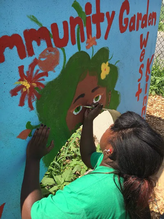 Lincoln Park Community Garden Picture 3