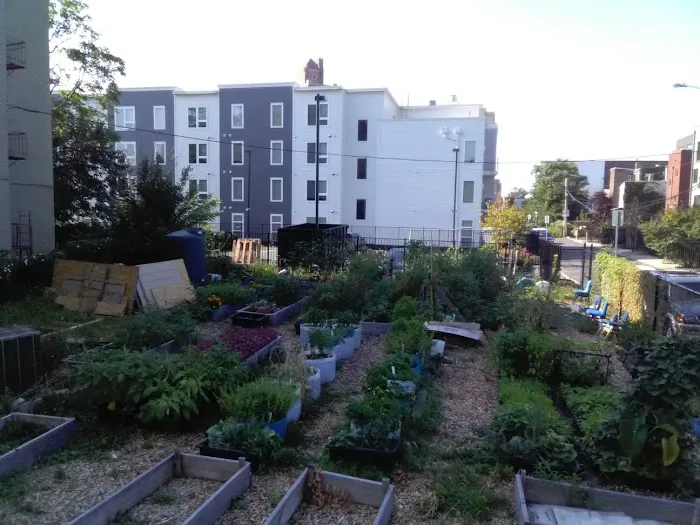 Lincoln Park Community Garden Picture 1