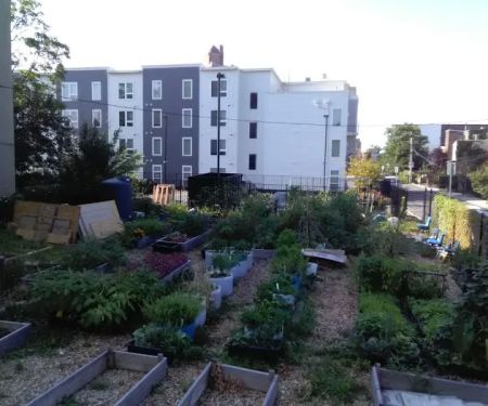 Lincoln Park Community Garden