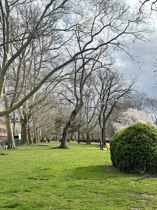 Independence Park Picture 5