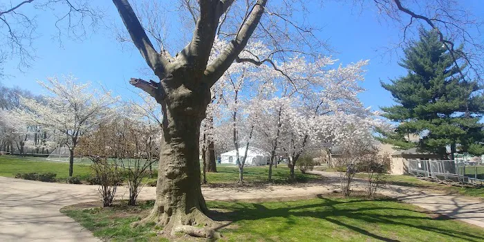 Independence Park Picture 1