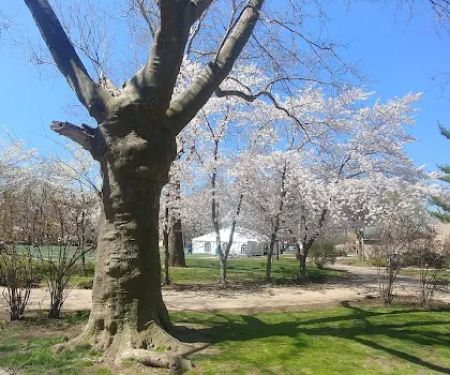 Independence Park