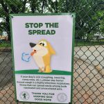 Vailsburg Dog Park