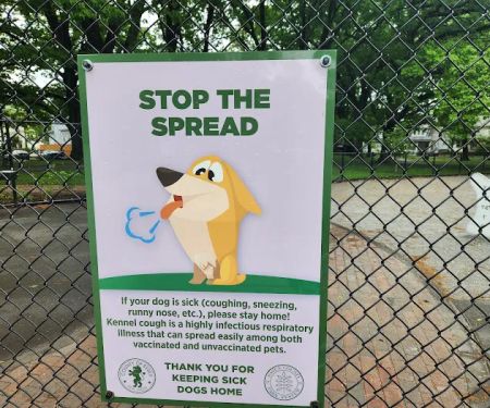 Vailsburg Dog Park