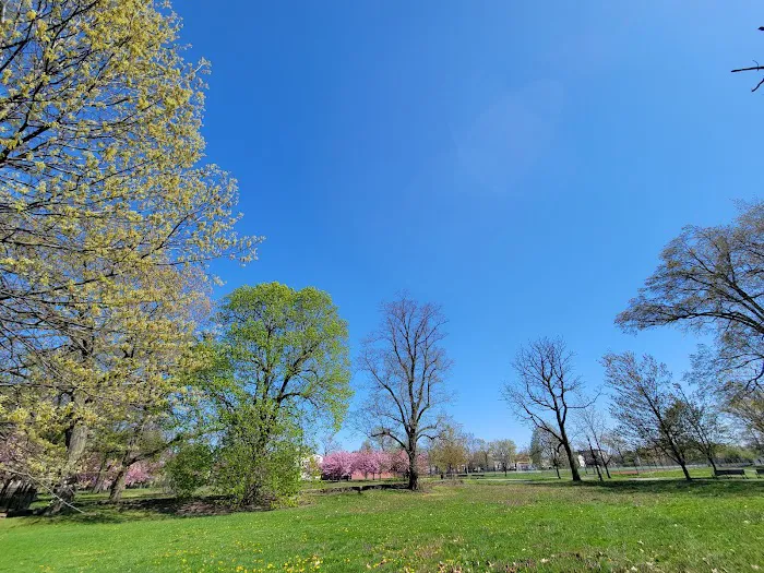 West Side Park Picture 6