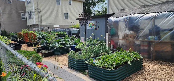 Giving One Tenth Community Garden Picture 2