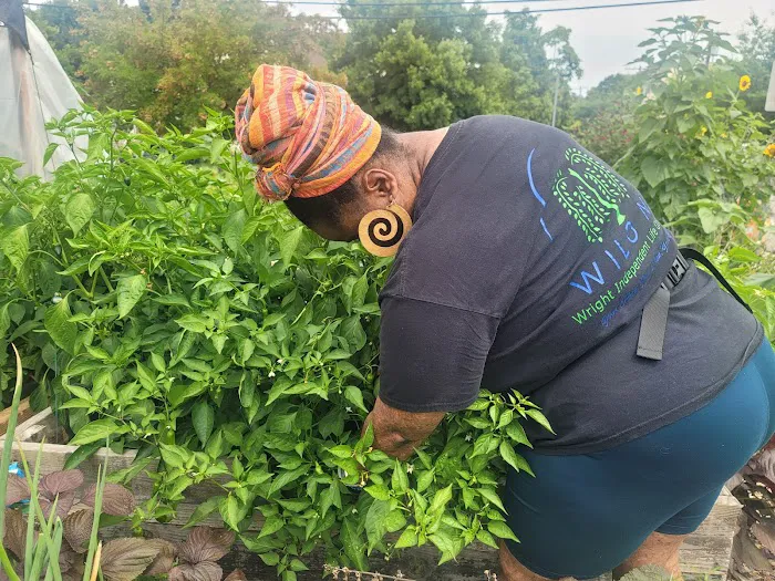 Giving One Tenth Community Garden Picture 7