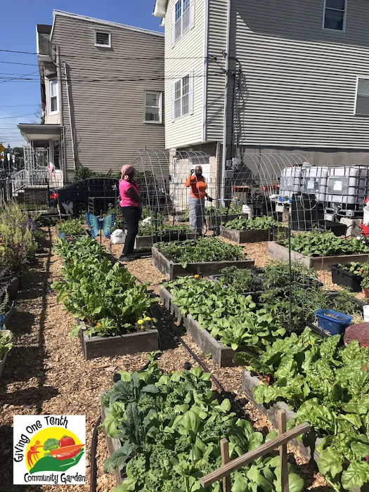 Giving One Tenth Community Garden Picture 8