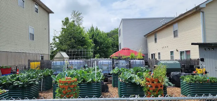 Giving One Tenth Community Garden Picture 3
