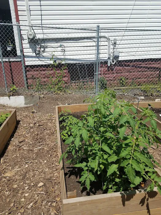 HOV Healthy Haven Garden Picture 9