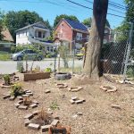 HOV Healthy Haven Garden