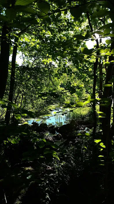 Kittatinny Valley State Park - Mt. Paul South Area Picture 1