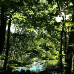 Kittatinny Valley State Park - Mt. Paul South Area