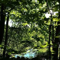 Kittatinny Valley State Park - Mt. Paul South Area ico