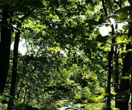 Kittatinny Valley State Park - Mt. Paul South Area