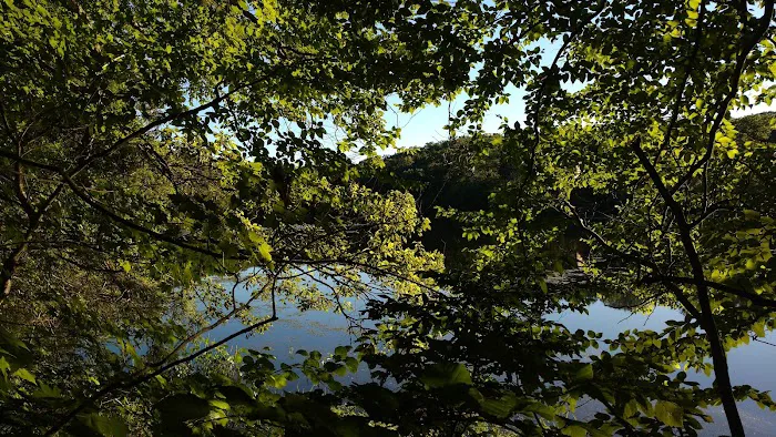 Kittatinny Valley State Park - Mt. Paul South Area Picture 4