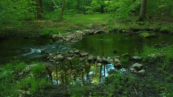 Kittatinny Valley State Park - Mt. Paul South Area Picture 2