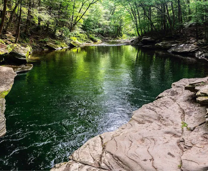 Sparta Mountain WMA Picture 9
