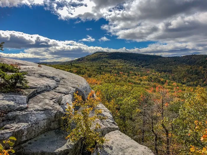 Sparta Mountain WMA Picture 6