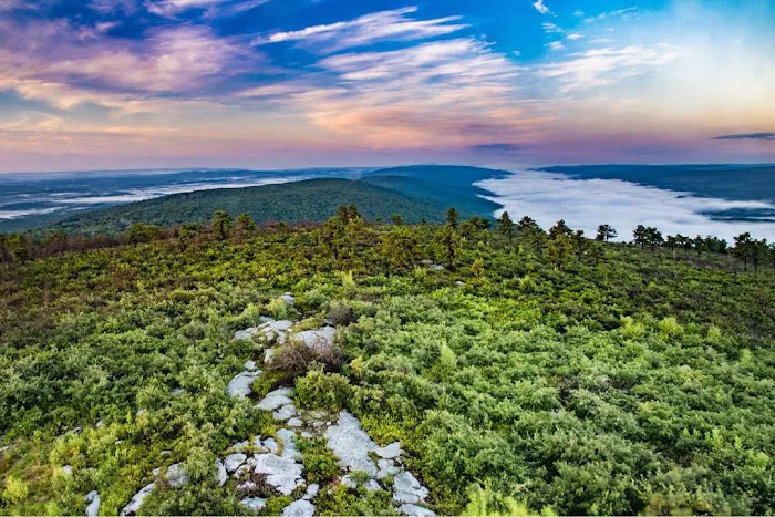 Sparta Mountain WMA Picture 5
