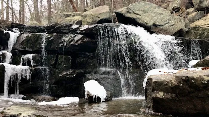 Sparta Mountain WMA Picture 8