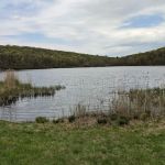 Sparta Mountain WMA
