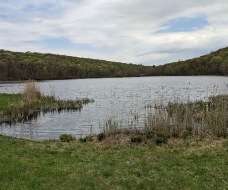Sparta Mountain WMA
