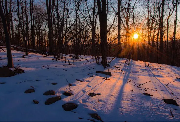Sparta Mountain WMA Picture 3