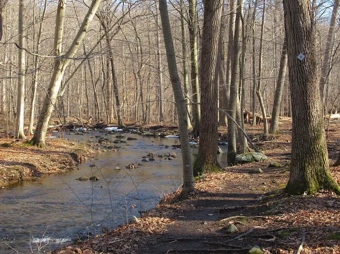 Sparta Mountain WMA Picture 7