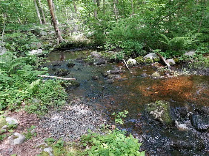 Mahlon Dickerson Reservation Picture 6