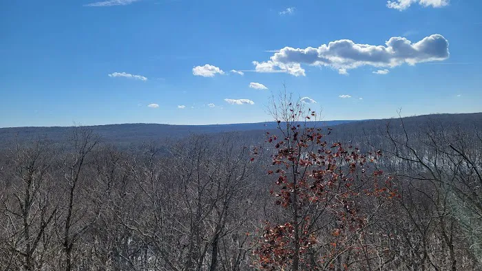 Mahlon Dickerson Reservation Picture 3