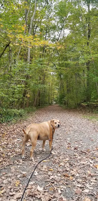 Mahlon Dickerson Reservation Picture 8