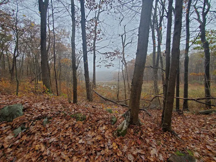 Mahlon Dickerson Reservation Picture 2