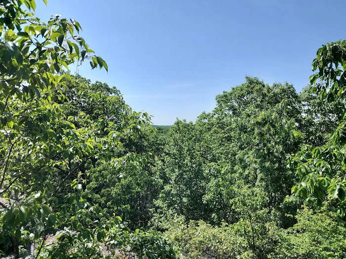 Mahlon Dickerson Reservation Picture 7