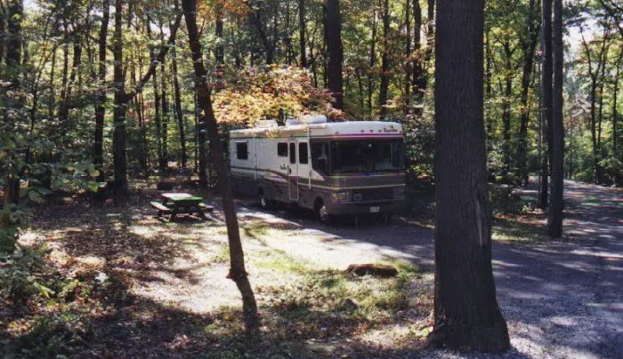 Mahlon Dickerson Campgrounds Picture 4