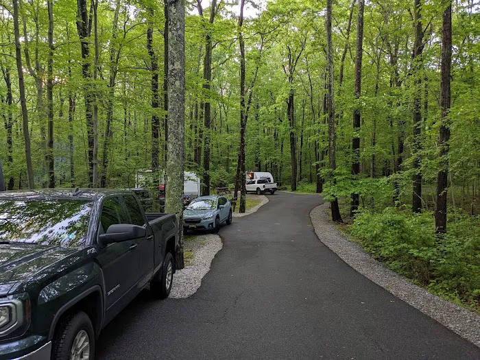 Mahlon Dickerson Campgrounds Picture 3