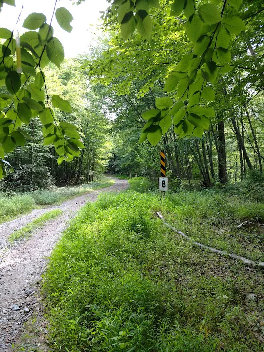 Mahlon Dickerson Campgrounds Picture 5