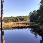 Mahlon Dickerson Reservation Campground Office