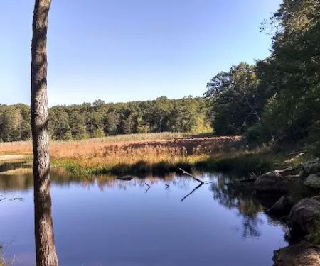 Mahlon Dickerson Reservation Campground Office