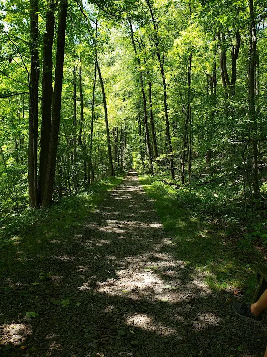 Ogden Mine Railroad Trail Access Picture 9