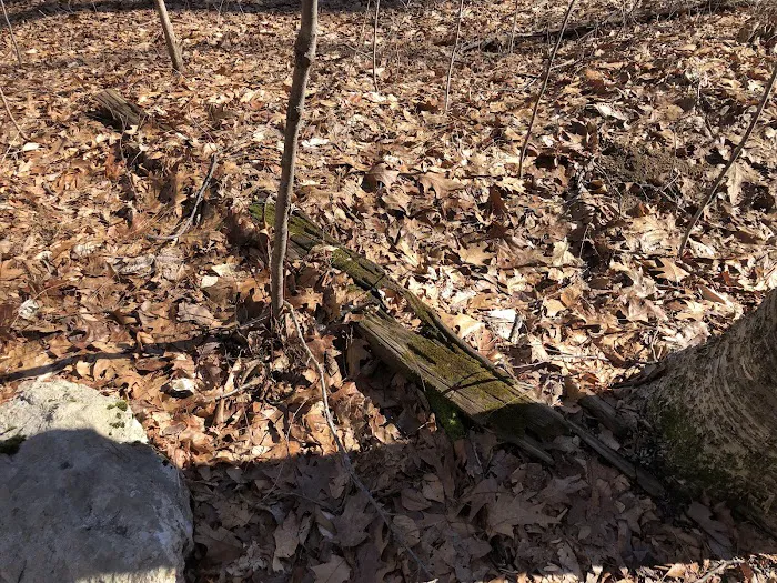 Ogden Mine Railroad Trail Access Picture 3
