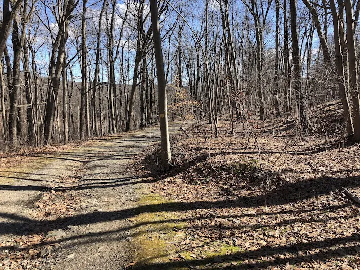 Ogden Mine Railroad Trail Access Picture 10