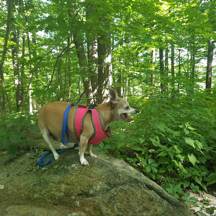 Saffin Pond Picture 9