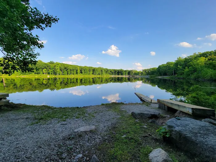 Saffin Pond Picture 2