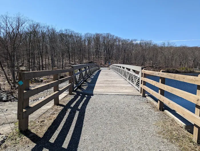 Saffin Pond Picture 8