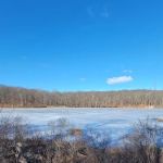 Saffin Pond