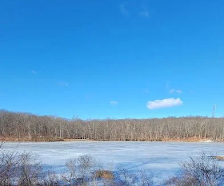 Saffin Pond