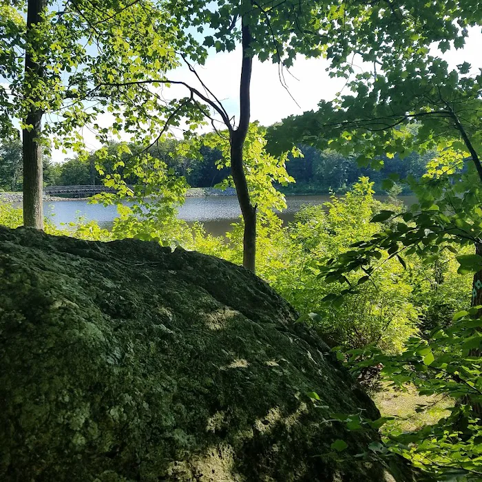 Saffin Pond Picture 10