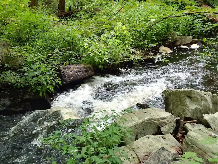 Saffin Pond Picture 6